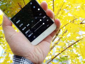 手机看片在线国产,手机看片，尽享国产影视魅力